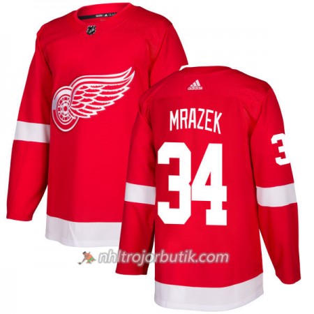 Män Ishockey Detroit Red Wings Tröja Petr Mrazek 34 Adidas 2017-2018 Röd Authentic